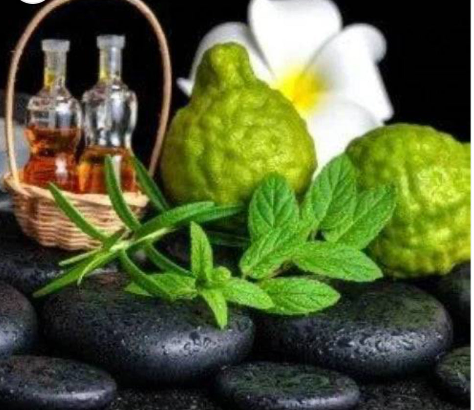 EARTH - Oakmoss & Bergamot 390g