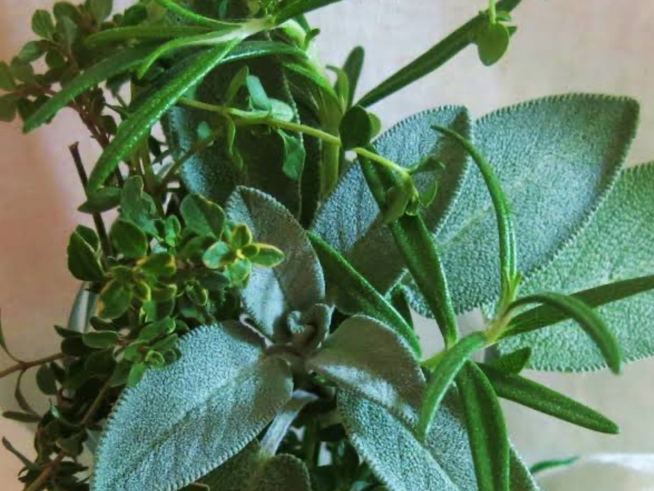 EARTH - Thyme Sage & Olive Leaf 390g