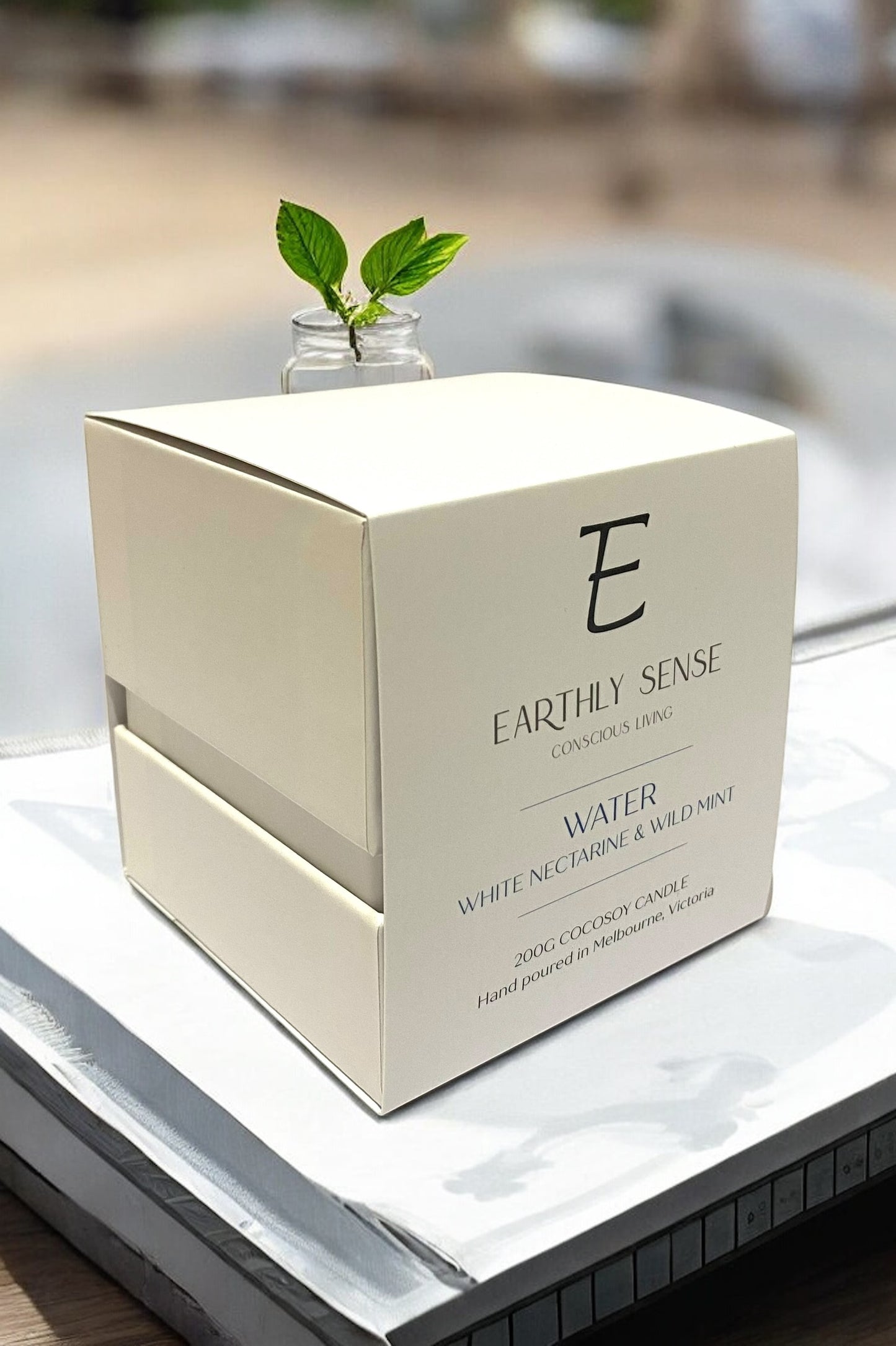 WATER - White Nectarine & Wild Mint 200g