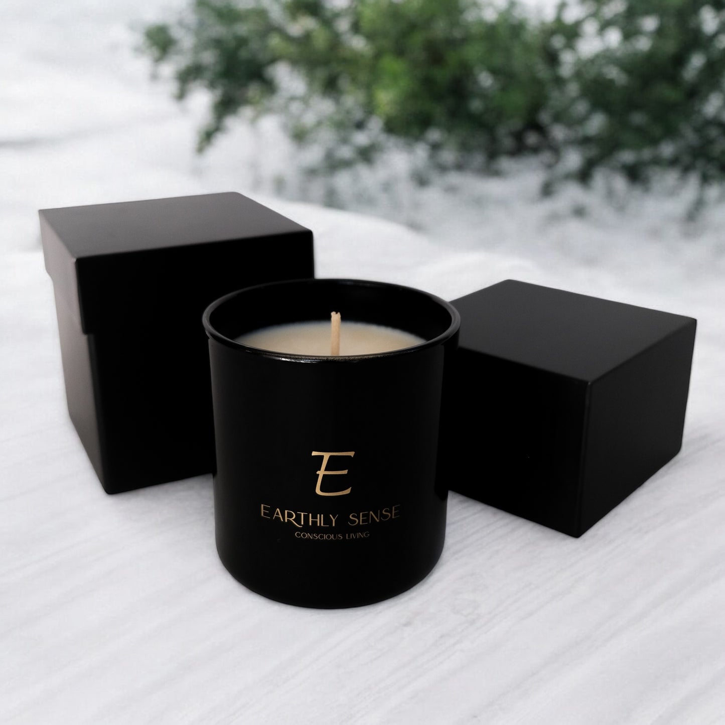 EARTH - Oakmoss & Bergamot 390g