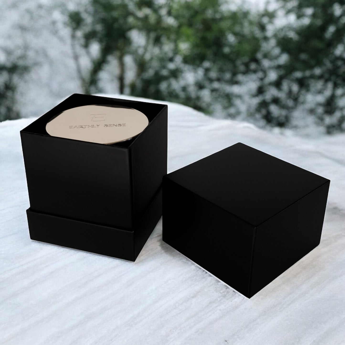EARTH - Oakmoss & Bergamot 390g